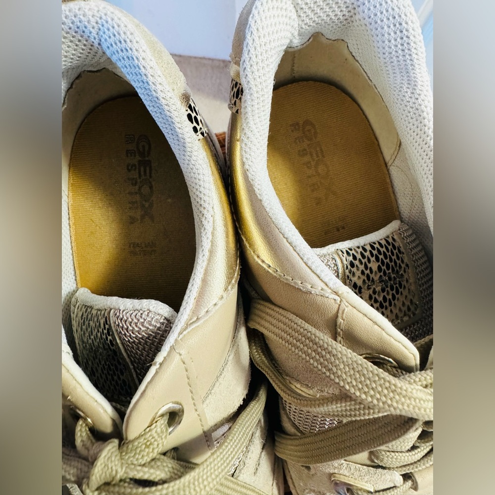 Geox Sneakers View 6
